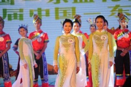 探索越南：揭秘真实越南生活